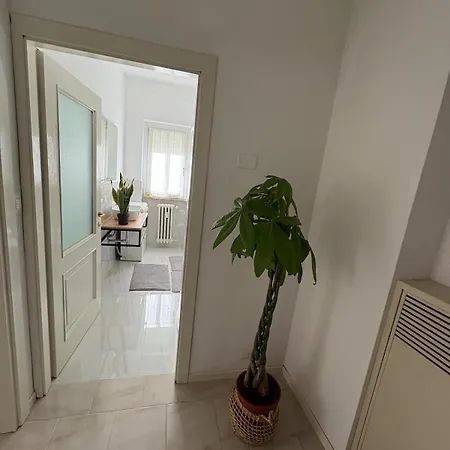 Lungolago Centro شقة ليكو